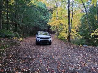 Chapel Pond Camping