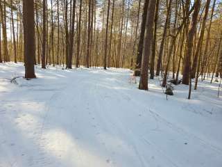 Winona State Forest