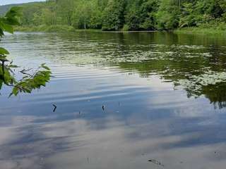 Rockwood State Forest