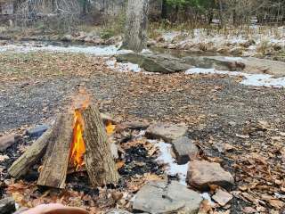 Quaker Area — Allegany State Park State Park