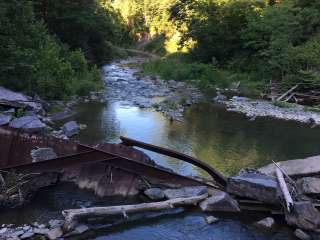 Blueberry Patch Campground