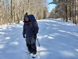 East Otto State Forest 