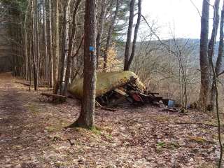 Allegany Parallel Bova Loops — Allegany State Park State Park