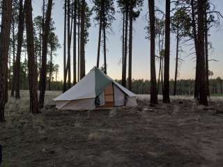 Forest Service #225 Road Dispersed Camping