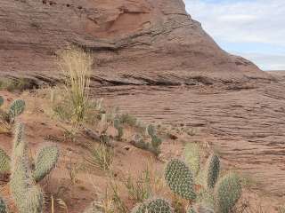 Lake Powell Overlook