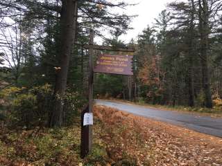 Jones Pond Campground