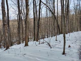 Bully Hill State Forest