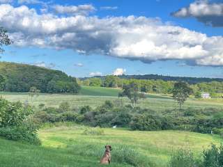 Catbird Hill - Gateway to FLX