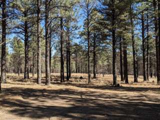 Sunset Crater