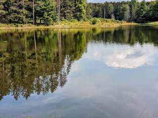 Ossian State Forest on Scoville Road