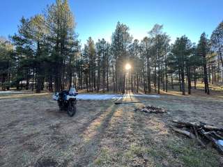 Forest Service Road #205 Lower Dispersed Camping