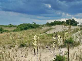 Breezy Point Campground