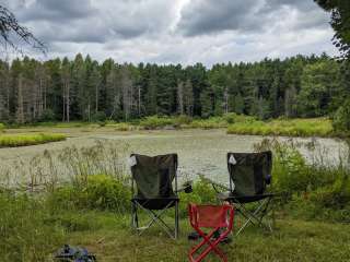 Palmer's Pond State Forest