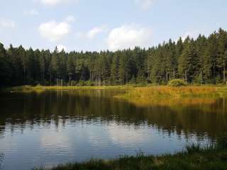 Morgan Hill State Forest