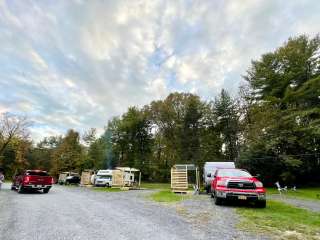 Treetopia Campground