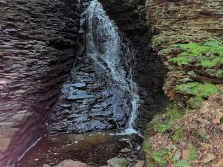 Charles E. Baker State Forest