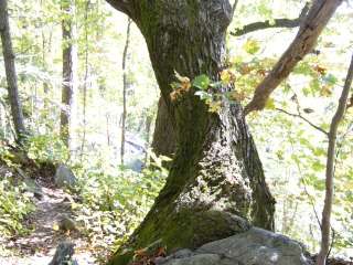 Jones Gap State Park