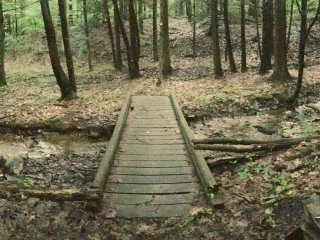 Whaupaunaucau State Forest