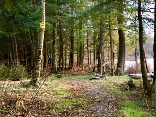 Balsam Swamp State Forest