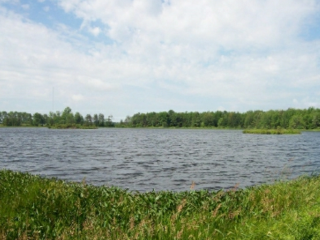 Chenango County Cook Park