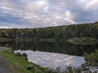 Stoney Pond State Forest Camping Area