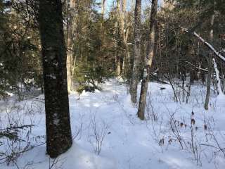 Featherstonhaugh State Forest Site