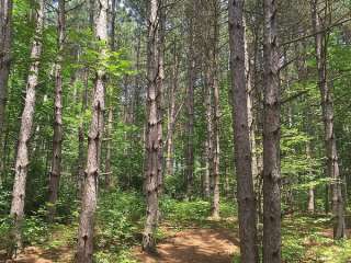 Hills Creek State Park