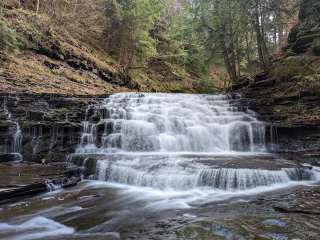 Salt Springs State Park