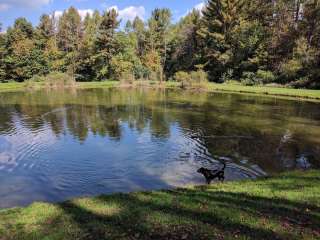 Warner Road Dispersed Camping in North Harmony State Forest