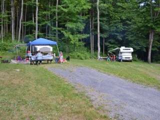 Lyman Run State Park