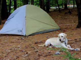 Quechee State Park