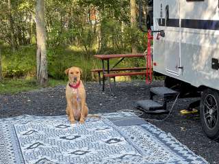 Delaware Water Gap / Pocono Mountain KOA