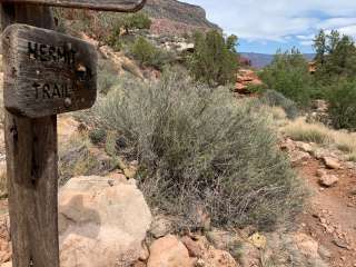 Granite Rapids Area Campsites — Grand Canyon National Park