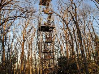 Cook Forest State Park