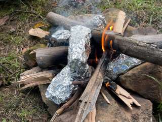 Loleta Road Dispersed Campsite