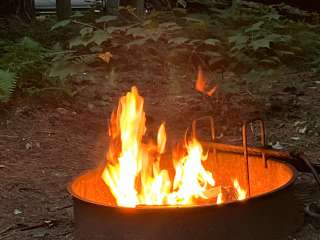 Tree Farm Campground