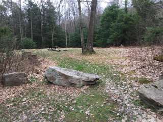 Bald Eagle State Forest