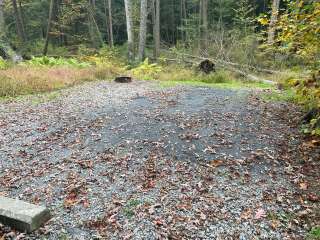 Reeds Gap State Park