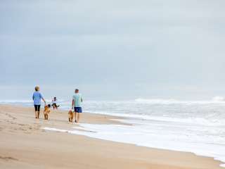 Camp Hatteras 