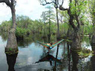 Merchants Millpond State Park