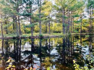 Sandy Ridge Campground & RV Resort