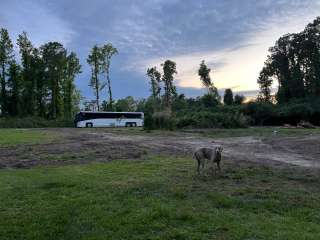 Castle Hayne Farm Park 