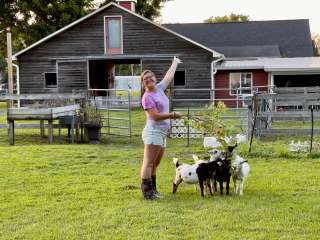 Flip Flop Family Farm