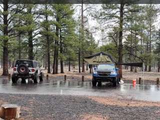 Coconino National Forest O'Leary Group Campground