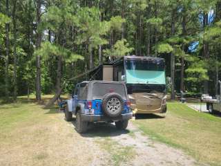 Cashie River Campground and Treehouse Village