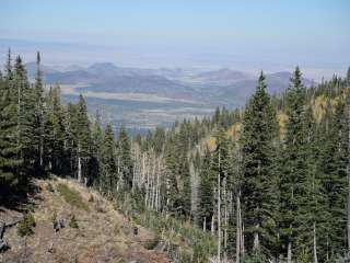 Abineau & Bear Jaw Trail Camp