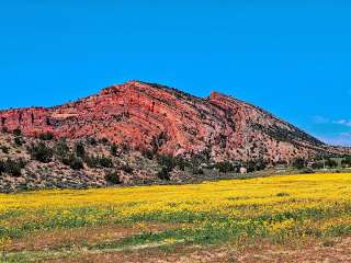 Hunters Point Campground