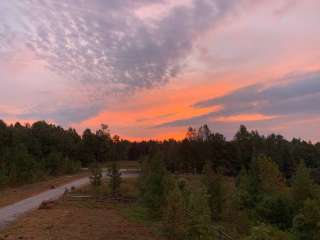 Matthews Creek Farm