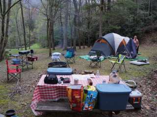 Nantahala Hideaway Campground & Cabins