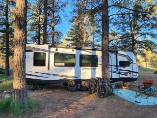 Old Grand Canyon Airport Forest Road - Dispersed Camping 